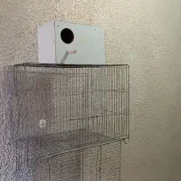 قفس پرنده و لانه پرنده