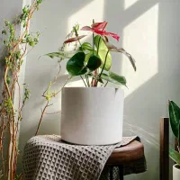 ۶۸ متر تک خواب تمیز