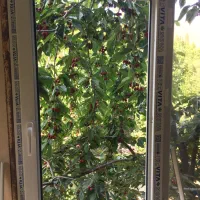 پنجره دوجداره توری پیلیسه