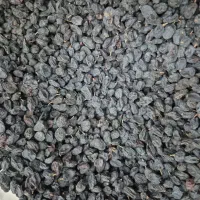 مویزدرشت درجه یک تروتمیز ارگانیک کشورافغانستان