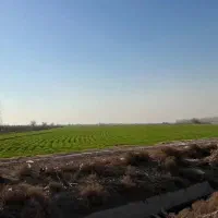 زمین کشاورزی