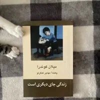 تعدای کتاب و رمان برای فروش