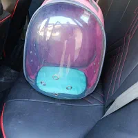 باکس و تشک  گربه