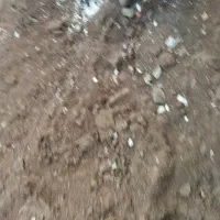 زمین مسکونی روبروی کوچه رز