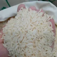 برنج هاشمی اصل