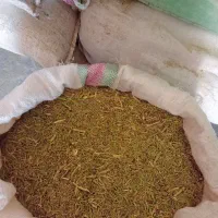 خارشتری نرم|لوازم جانبی حیوانات|رضویه, |دیوار