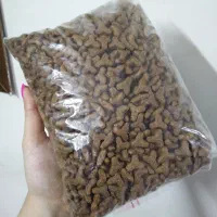 جوسرا کیتن مخصوص گربه