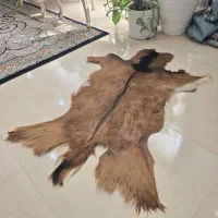 پوست بز تزئینی