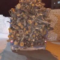 خریدچوب ودرخت قطع وهرس.حرس چوب سقفی|خدمات باغبانی و درختکاری|مشهد, دوست آباد|دیوار