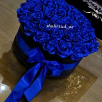 باکس و دسته گلِ رز ربانی|گل و گیاه طبیعی|رباطکریم, رباطکریم|دیوار