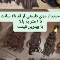خریدار موی طبیعی