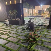 سنگ کاری سیمان کاری کلیه کارهای ویلایی صفر تا ۱۰۰