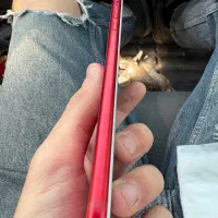 Iphone 7pluse 128gig|موبایل|تهران, یوسف‌آباد|دیوار