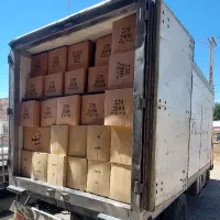 انواع لیوان کاغذی