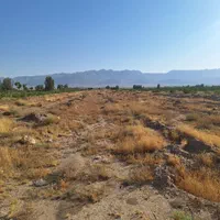 زمین کشاورزی مناسب سرمایه گذاری و صنعتی شدن|فروش دفتر صنعتی، کشاورزی، تجاری|شیراز, کفترک|دیوار