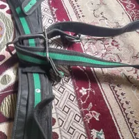 کمربند علم کشی|کیف، کفش، کمربند|رشت, جماران|دیوار