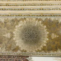 دو‌جفت پشتی سالم