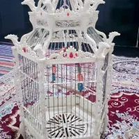قفس پرنده