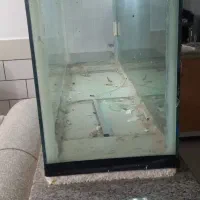 اکواریوم شیشه ده میل|لوازم جانبی حیوانات|مبارکه, |دیوار