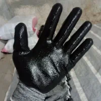 دستکش کارگری نیتریل|ابزارآلات|مشگین شهر, |دیوار