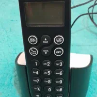 معاوضه تلفن بی سیم با پرنده