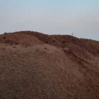 کود حیوانی گاوی وگوسفندی|خدمات باغبانی و درختکاری|چهارباغ, |دیوار