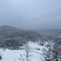 ویلا ۷۵ متری نوساز سنگچال فیلبند|اجارهٔ کوتاه‌مدت آپارتمان و سوئیت|آمل, |دیوار