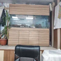 اکواریوم شیشه خم|ماهی|کرج, شهرک جهان آرا|دیوار