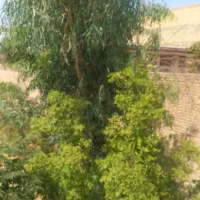 فروش-ویلایی-آتشگاه-منارجنبان