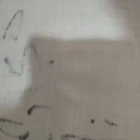 برنج سالم