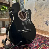 گیتار پائوچیا pao chia کاتوی