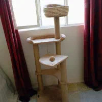 خونه ی درختی گربه
