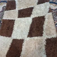 فرش چهار متری|فرش|شیراز, دشت چنار|دیوار