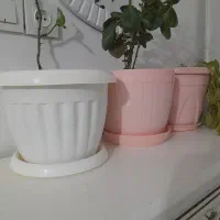 سه تا گلدان پلاستیکی|گل و گیاه طبیعی|مشهد, شهرک شهید باهنر|دیوار