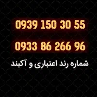 شماره رند مخصوص کسب و کار