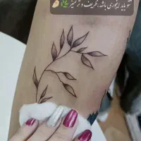 تتوبدن تخصصی«قیمت اقتصادی»تخفیف عیدانه