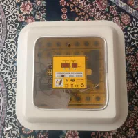 دستگاه جوجه کشی خانگی ، کبوتر بلژیکی