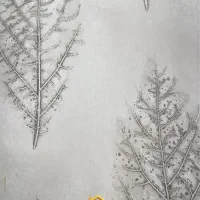 کاغذ دیواری|مصالح و تجهیزات ساختمان|کرمان, |دیوار