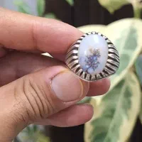 شجر