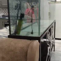 آکواریوم|ماهی|شهریار, بکه|دیوار