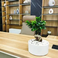 بازسازی و دکوراسیون داخلی /طراحی تخصصی دفترکار