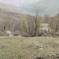 زمین به مساحت 3370متر مربع به فروش می رسد