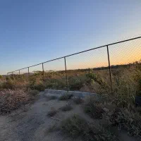 باغ-انگوری-با-درختای-17-ساله