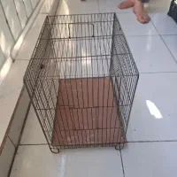 قف پرنده و حیوان