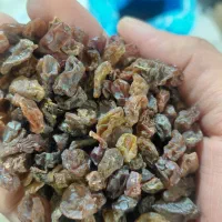 کشمش بی دونه