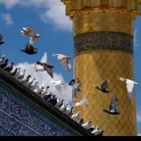 تور کربلا قیمت استثـنایی + پرداخت اقسـاطی