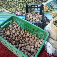 گردو خشک