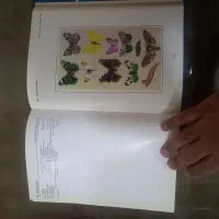 کتاب های آلمانی و فرانسوی وایتالیایی وترکی|کتاب و مجله آموزشی|تهران, حر|دیوار