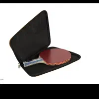 راکت پینگ پنگ تنیس|ورزش‌های توپی|اصفهان, نقش جهان|دیوار