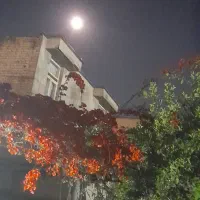 سیم کارت ۱۷۲ گنبد